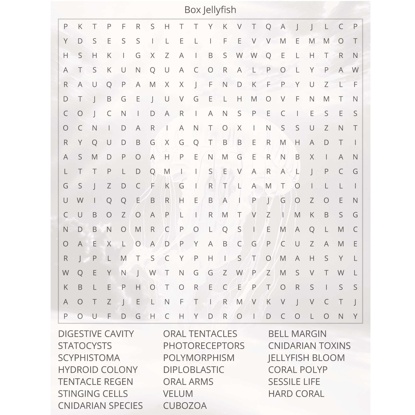 Animal Kingdom Rules Book II page 5