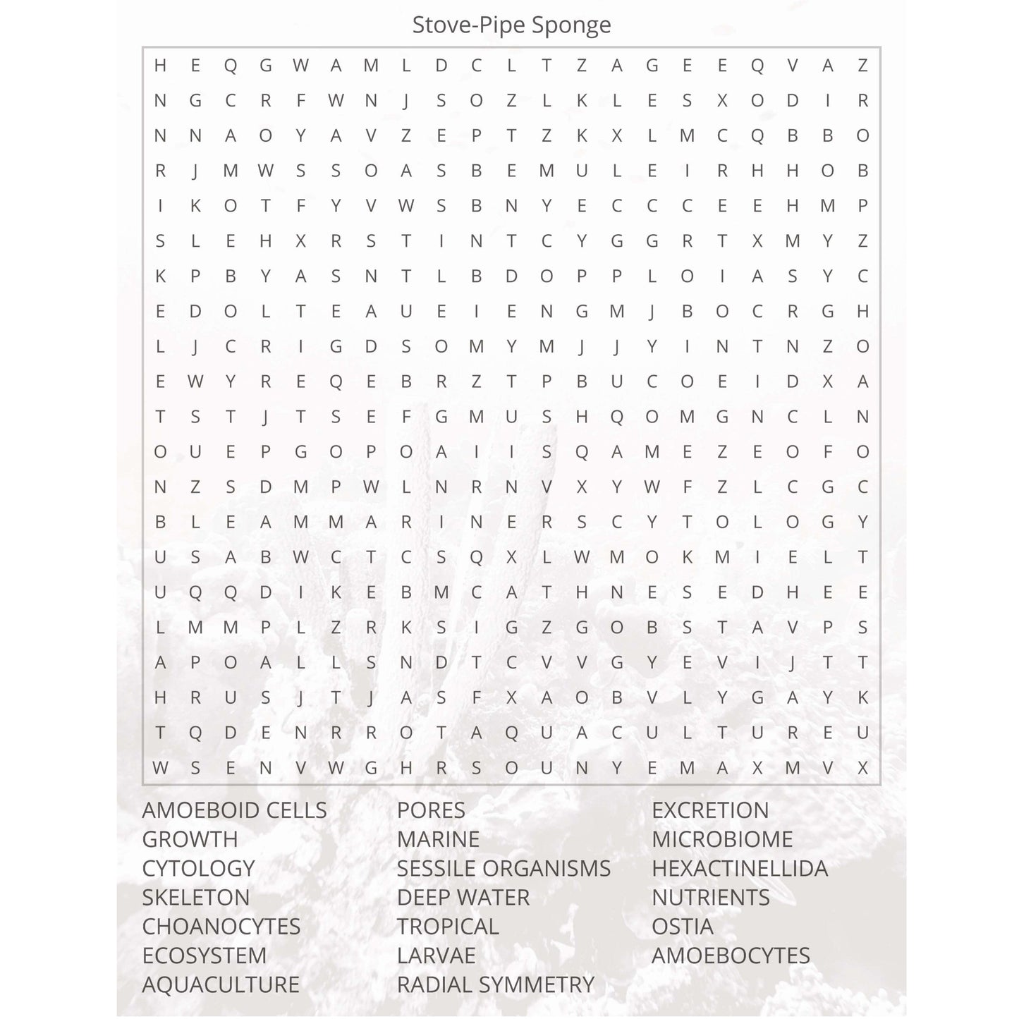Animal Kingdom Rules Book I PDF Download - Word Search