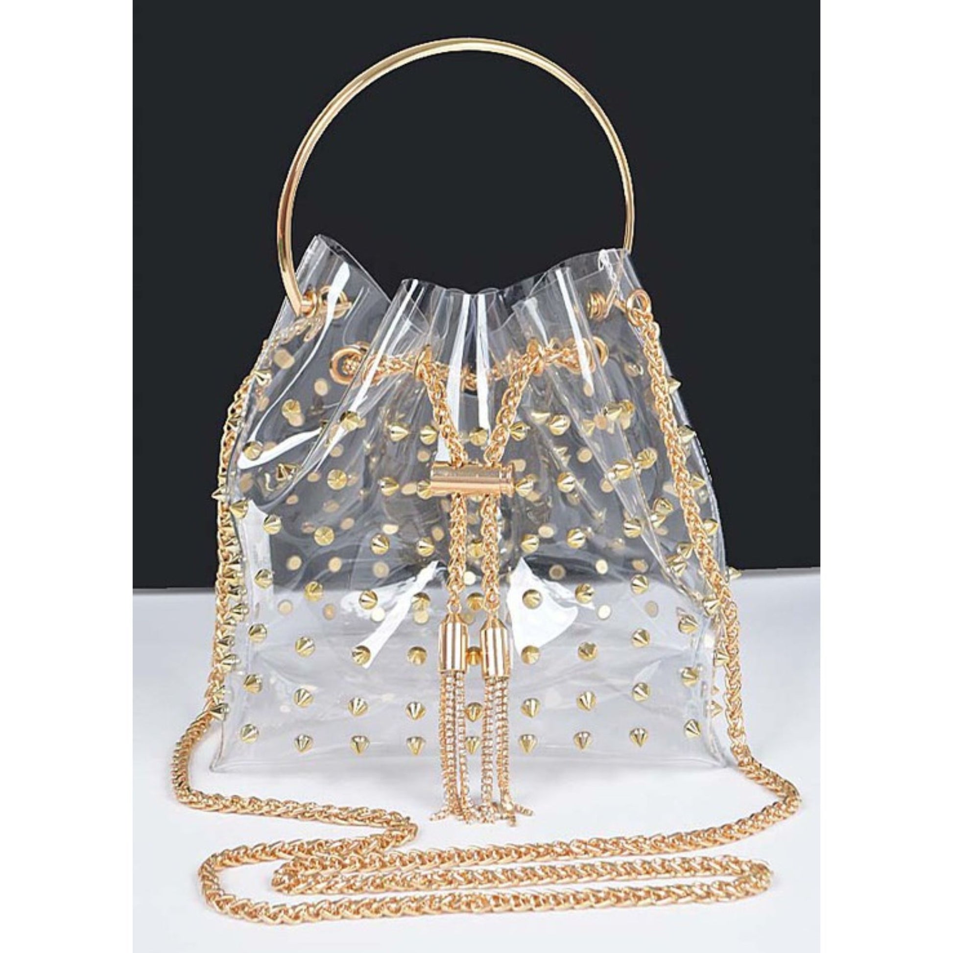 Clear handbag with gold accents on a white background
