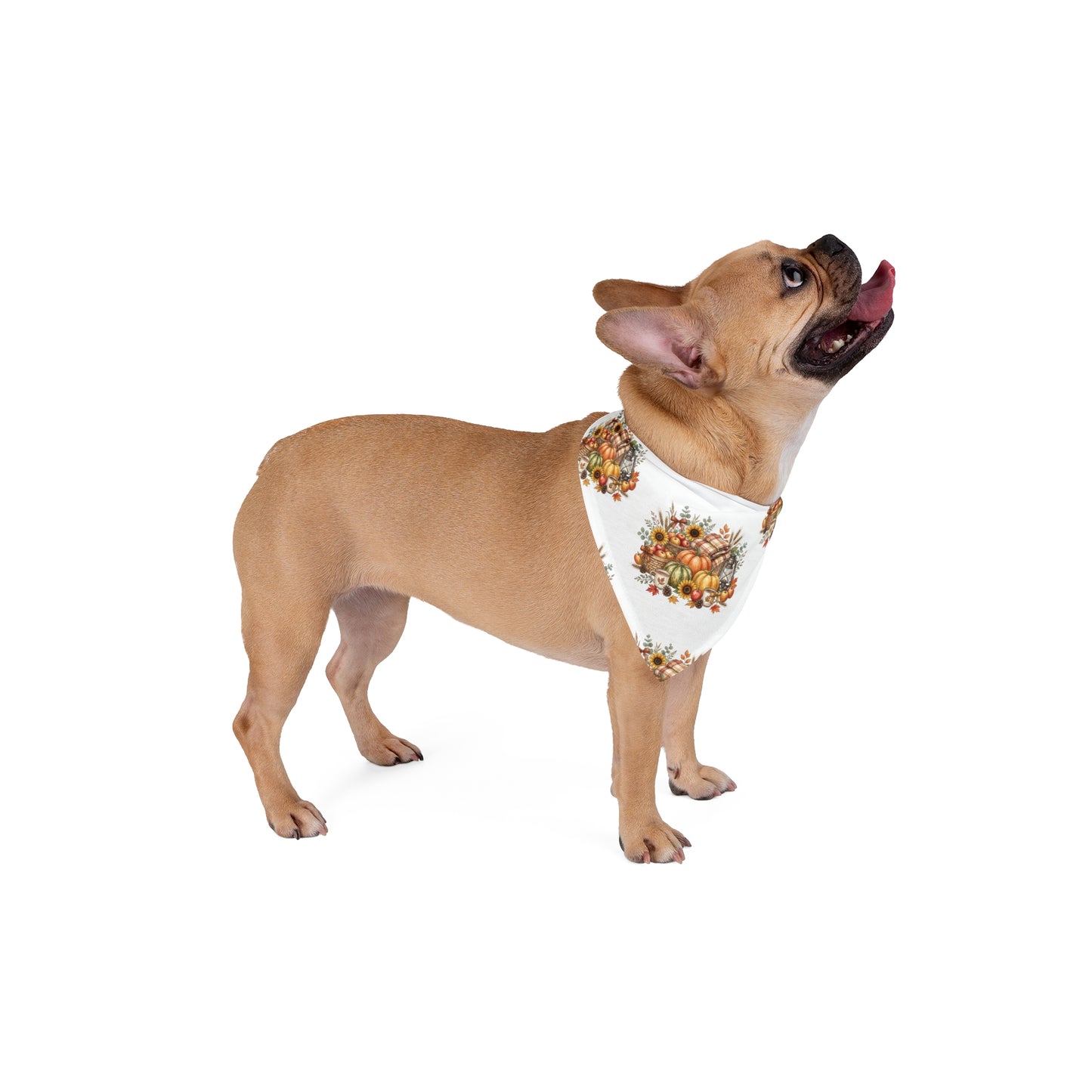 Autumn Harvest Pet Bandana — Fall Pumpkins & Sunflowers Dog Scarf