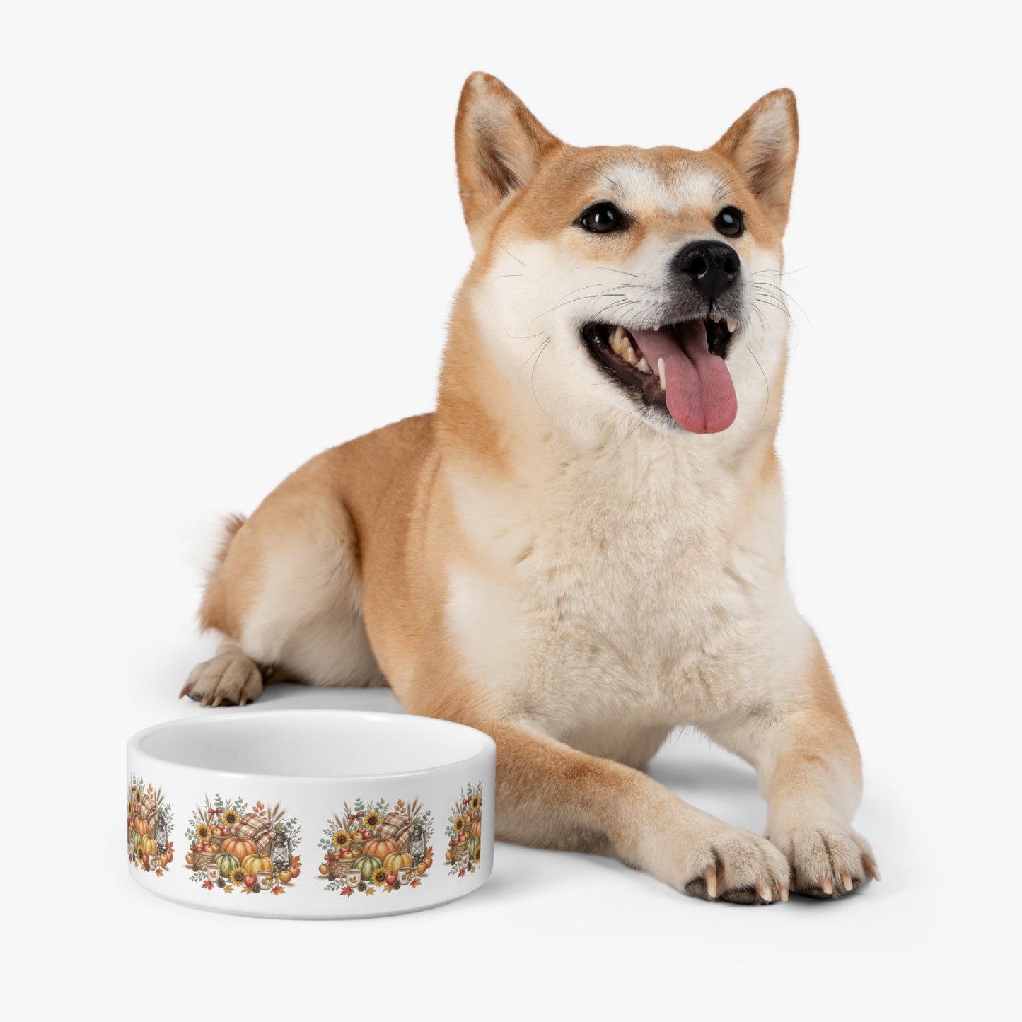 Autumn Harvest Pet Bowl — Thanksgiving Pumpkin & Sunflower Dog  Bowl