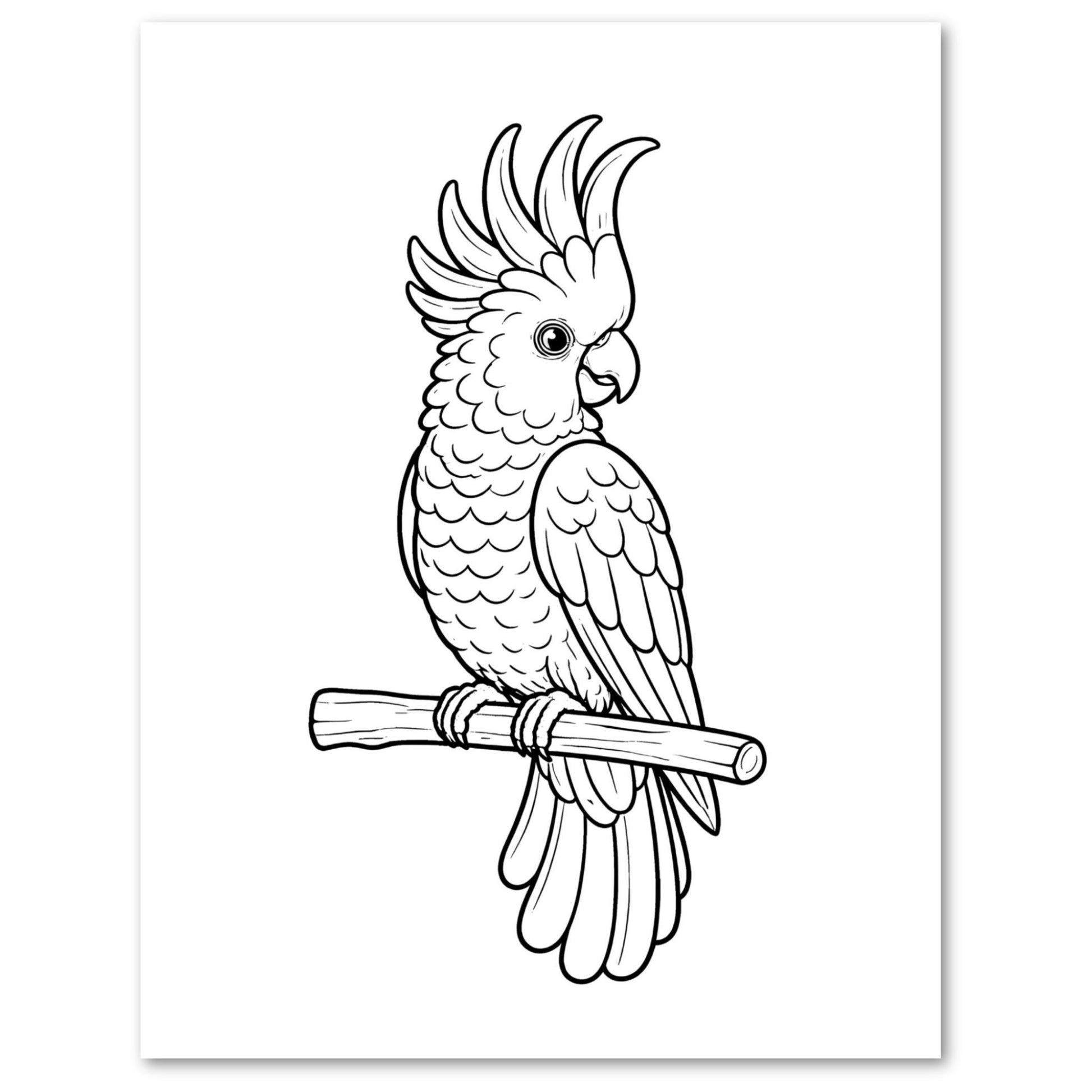 Black and white line drawing of a Cockatoo on a branch