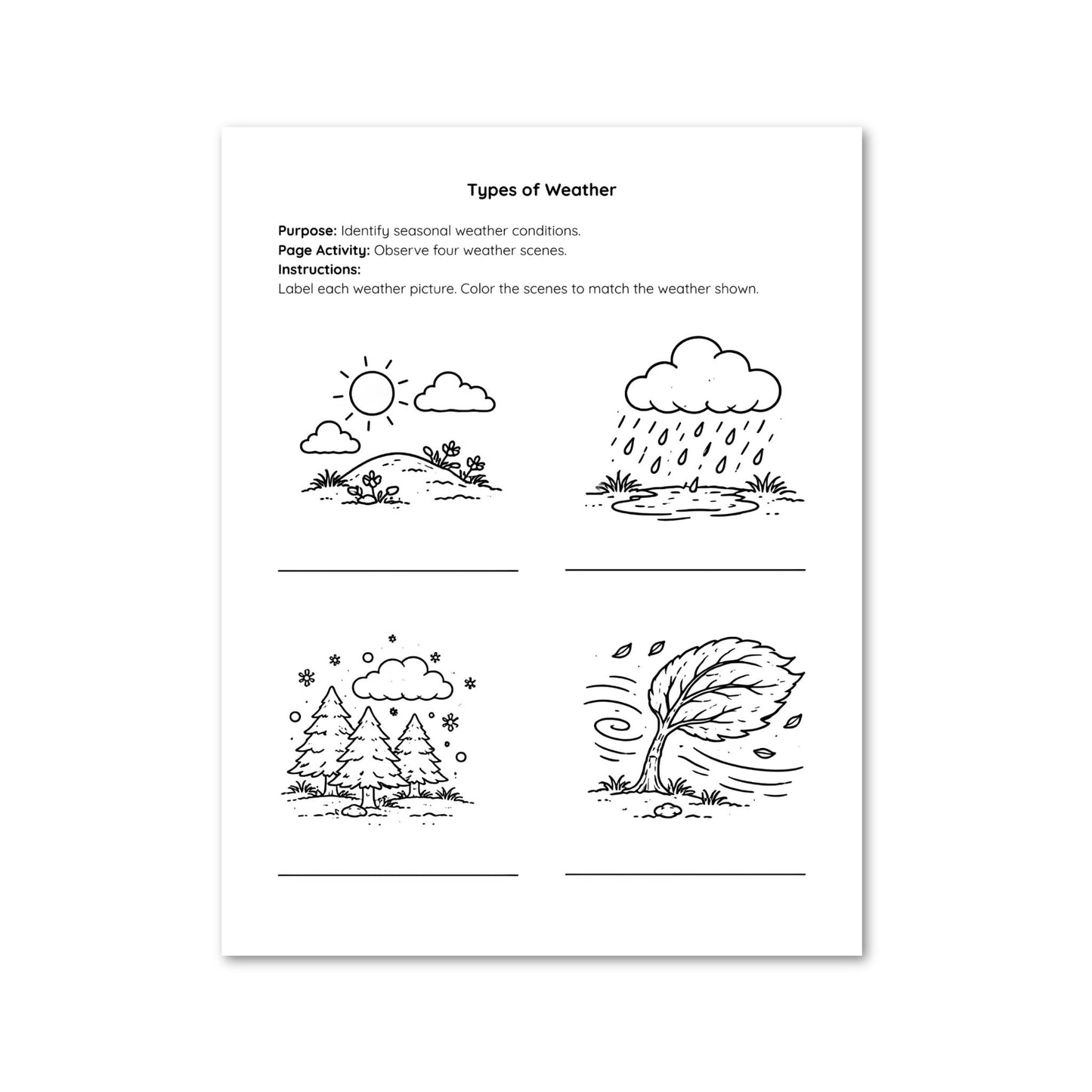 Worksheet on types of weather with four black and white illustrations.