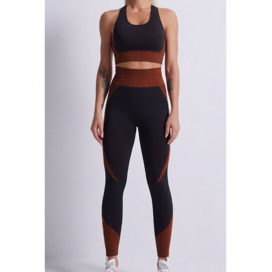 Seamless Color Block Yoga Set