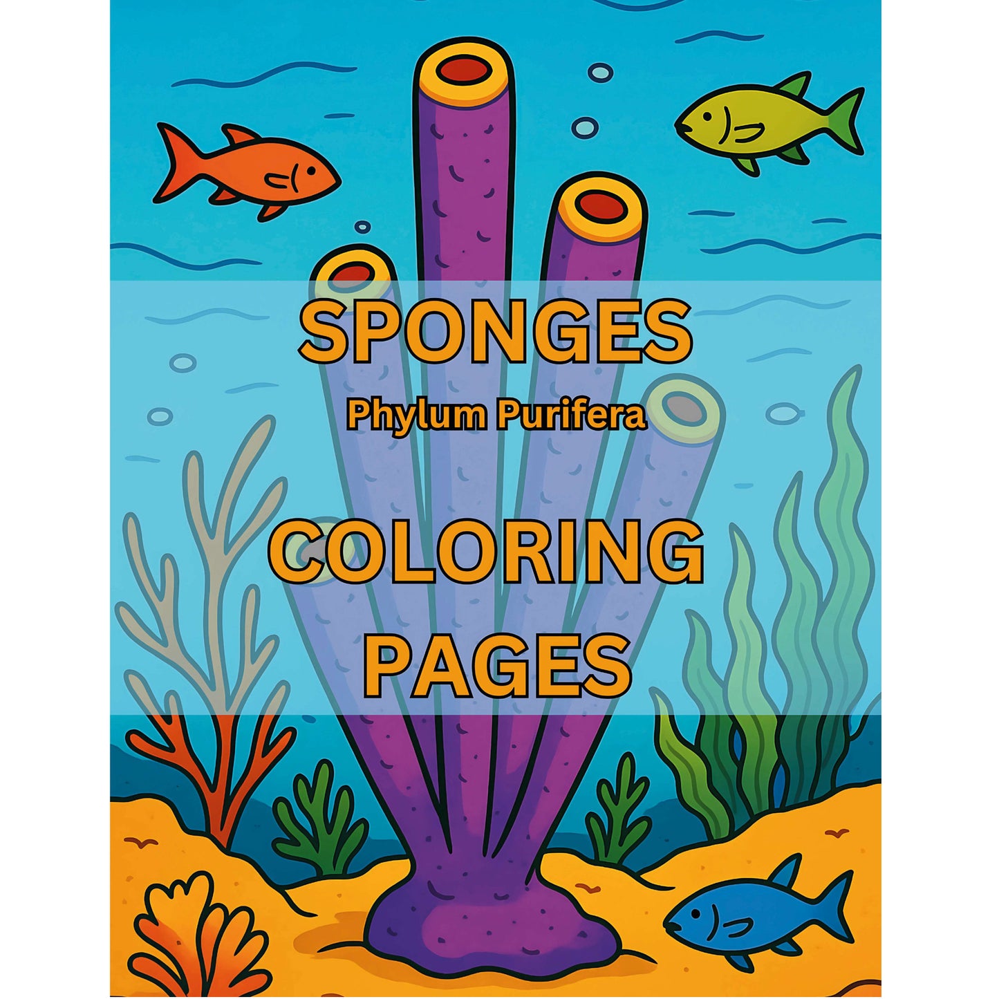 Sponges Phylum Purifera Coloring Pages Cover