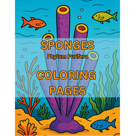 Sponges Phylum Purifera Coloring Pages Cover