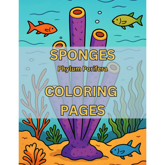 Sponges Phylum Porifera Coloring Pages Cover