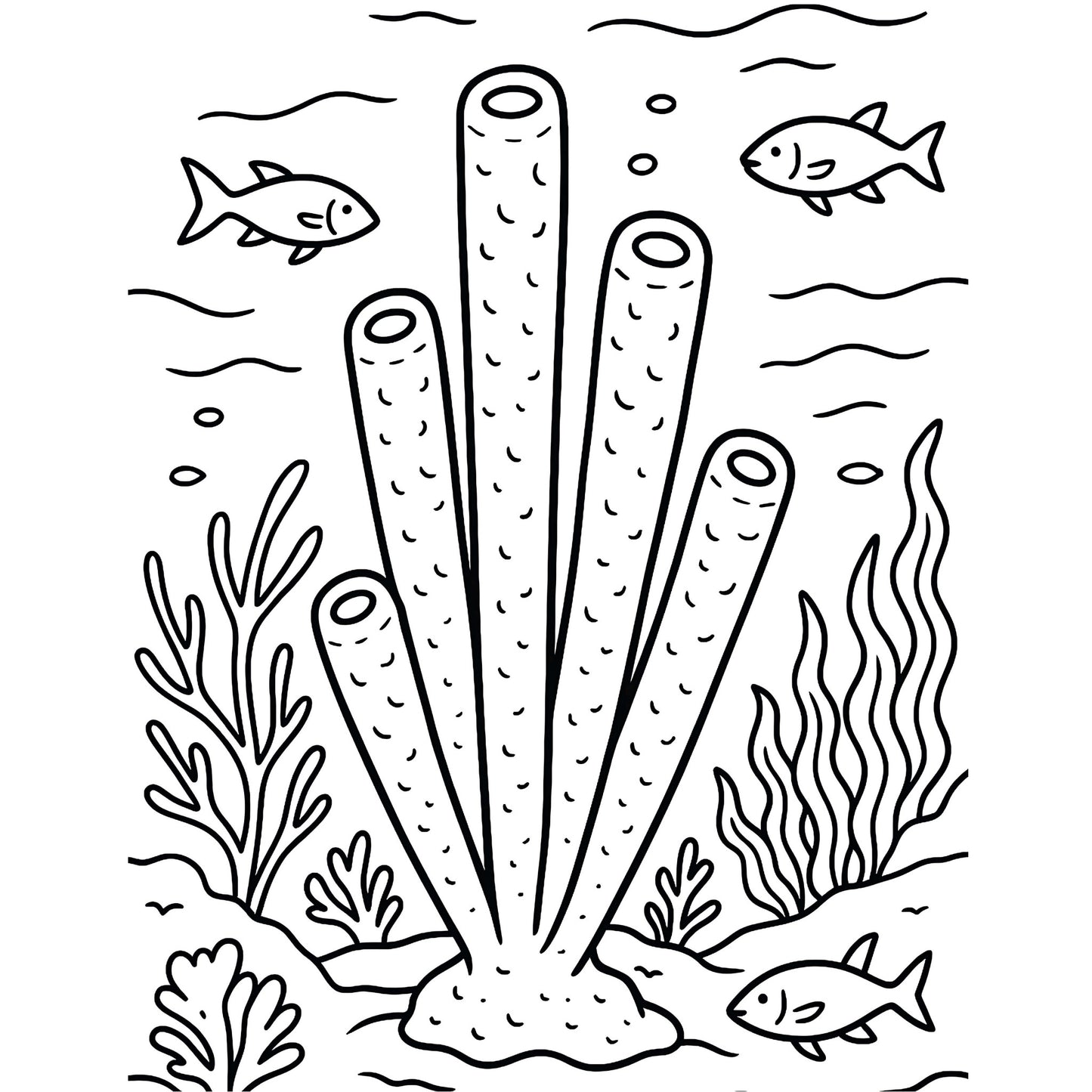 Sponges Phylum Purifera Coloring Pages Cover page 4