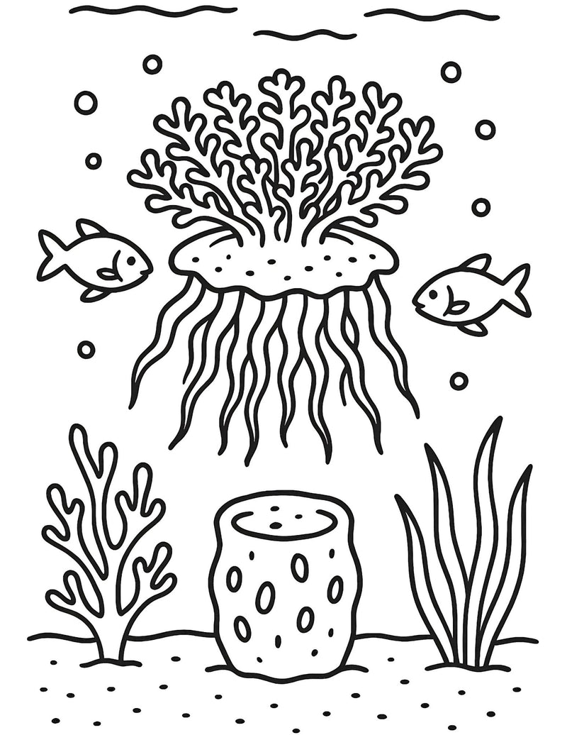 Upside-down Jellyfish